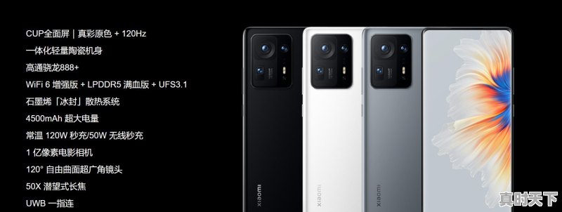 小米13降价预测 - 真时天下