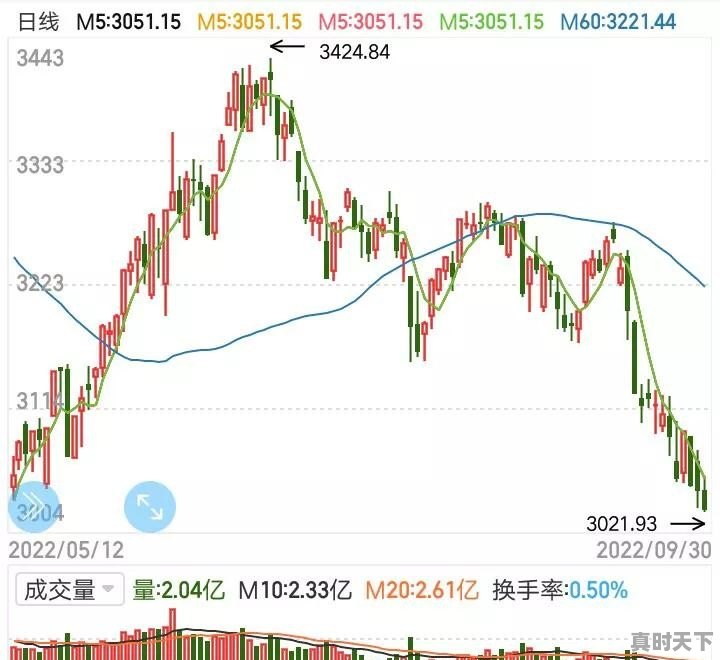 2万元二手家用车 - 真时天下