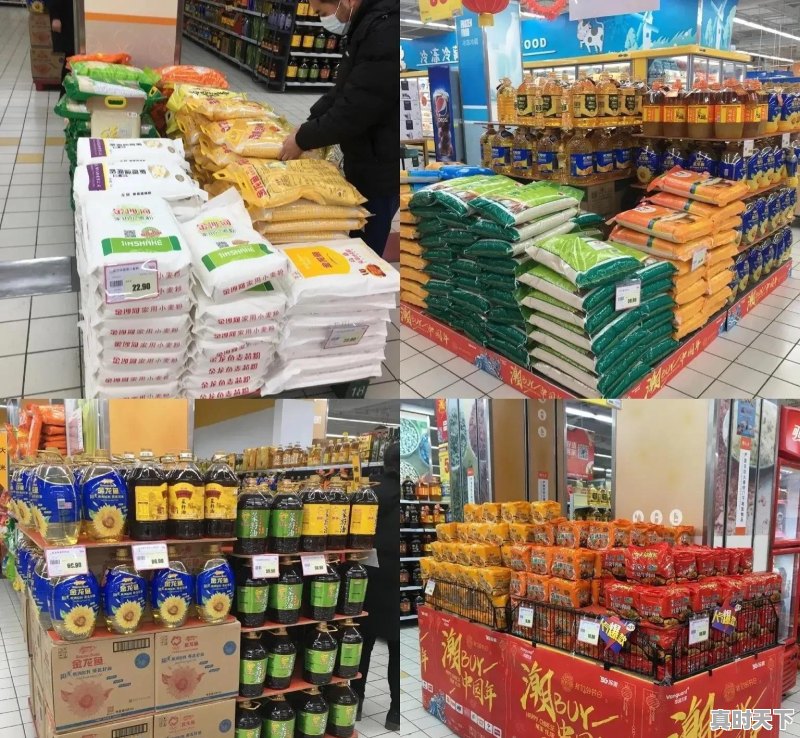 景德镇今日头孢价格 - 真时天下