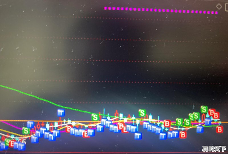 哪个股票稳赚不赔好 - 真时天下