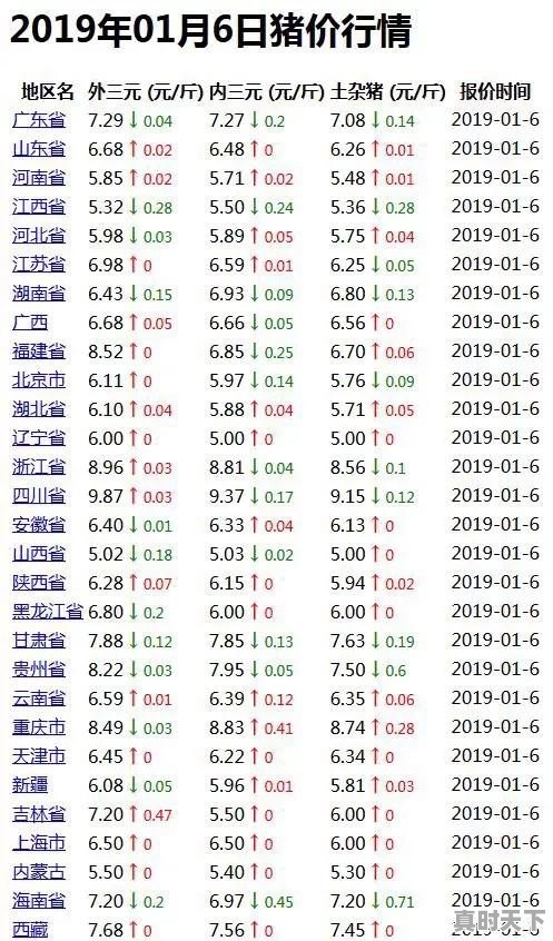 吉林省今日毛鸡价格 - 真时天下