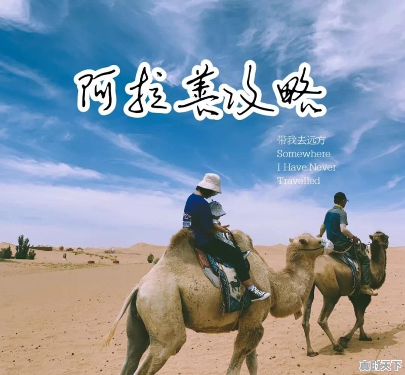 连理岛天气预报 - 真时天下