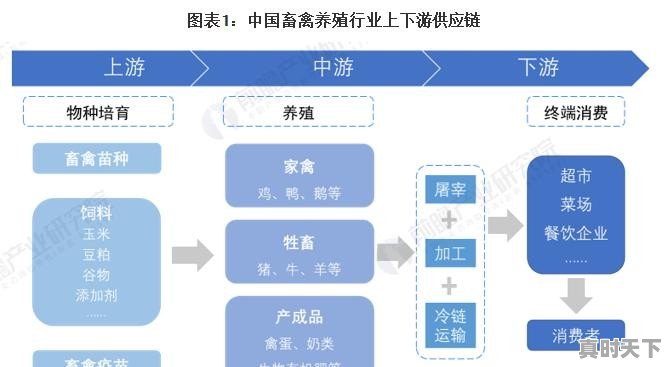 畜禽养殖业不景气，牛羊价格持续下跌，养殖业未来将如何发展 - 真时天下