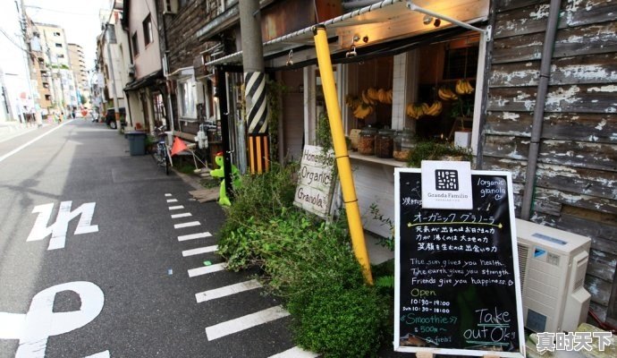 一个用腿一个用拳的电视游戏 - 真时天下