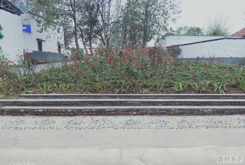 兴山高岚天气预报 - 真时天下