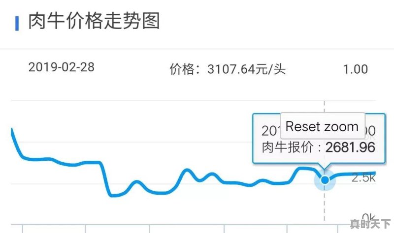 2022年牛价行情预测 - 真时天下