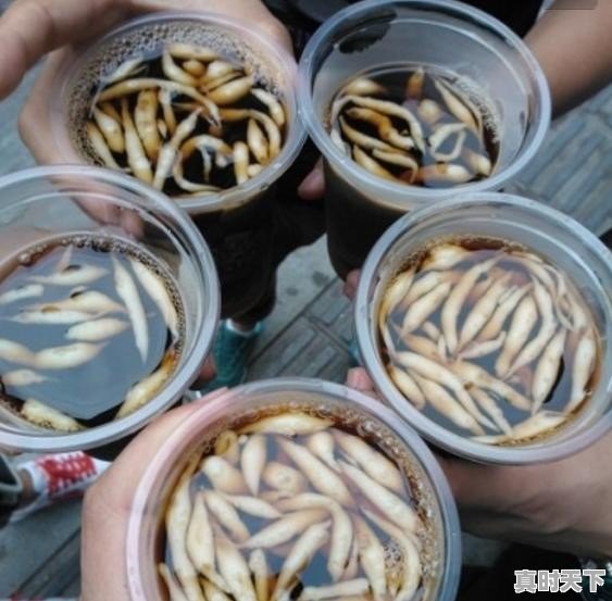 宜昌的美食有哪些 - 真时天下