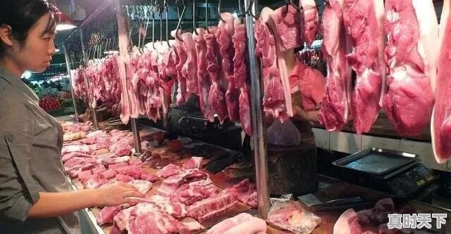 为什么广东的鸡那么便宜 - 真时天下