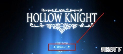 switch空洞骑士可以双人吗 - 真时天下