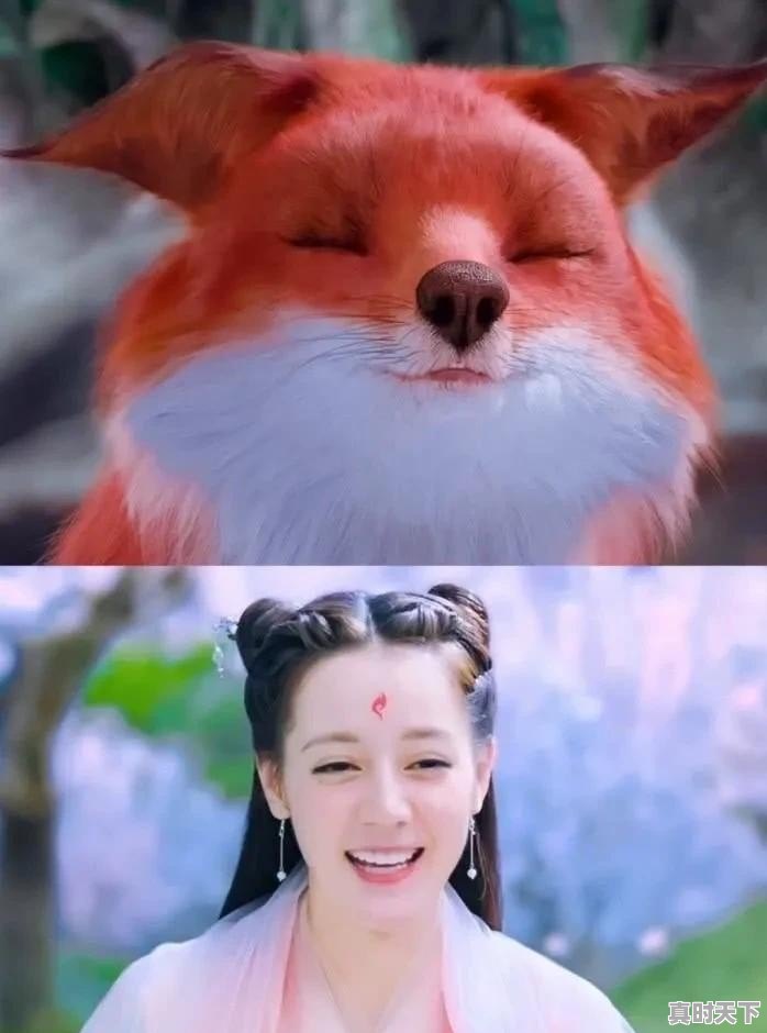 求好看的电视剧,这几天一直在为社会做贡献不出门,就是太闷,有什么好看的电视剧求推荐谢谢 - 真时天下