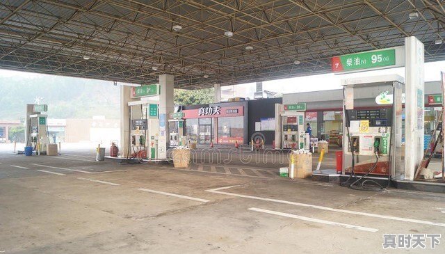 中石油汽油价今日价格山东 - 真时天下