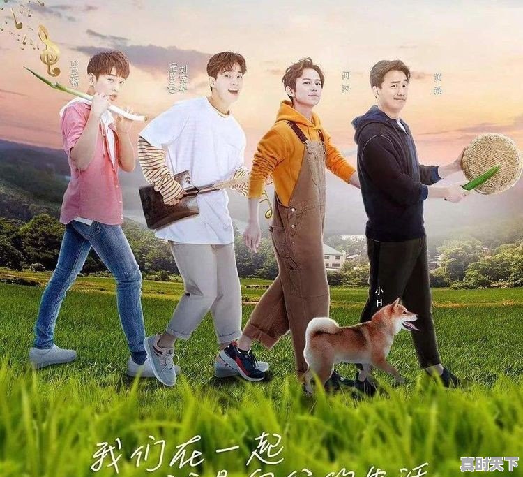 手机流量太多用不完怎么办 - 真时天下