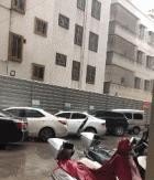 自救才能救人文案 - 真时天下