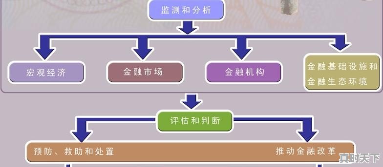 金融类行业分类有哪些 - 真时天下