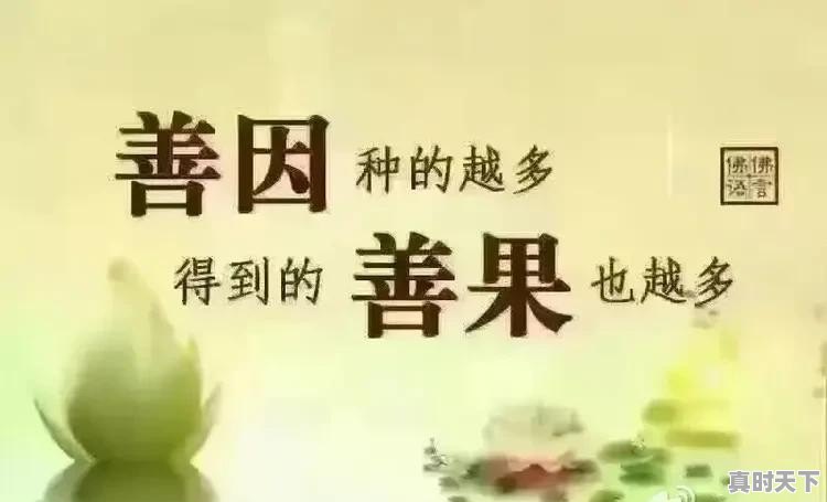 如何看待陈光标伪慈善的真面目 - 真时天下