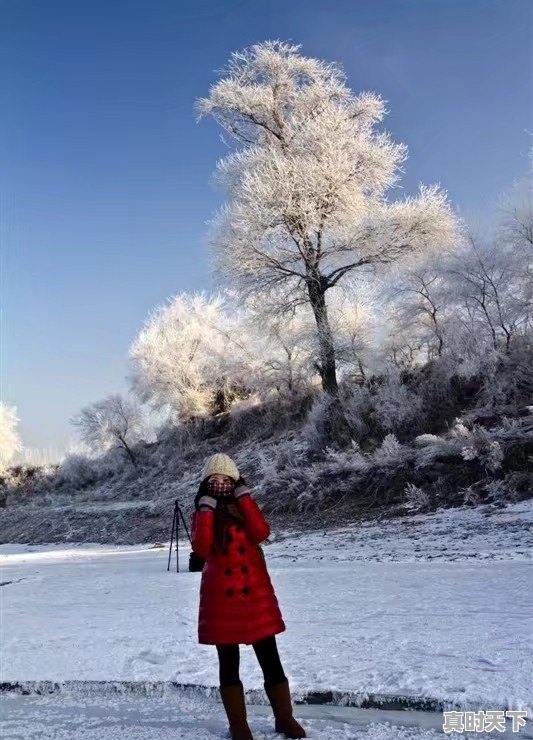 你想自己一个人来一场说走就走的旅行吗 - 真时天下