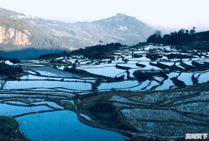 云南有哪些旅游景点，哪里比较适合夏天去旅游呢 - 真时天下