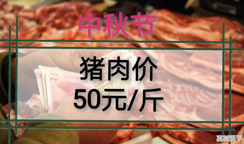 河南林州猪肉价格今日价格表 - 真时天下