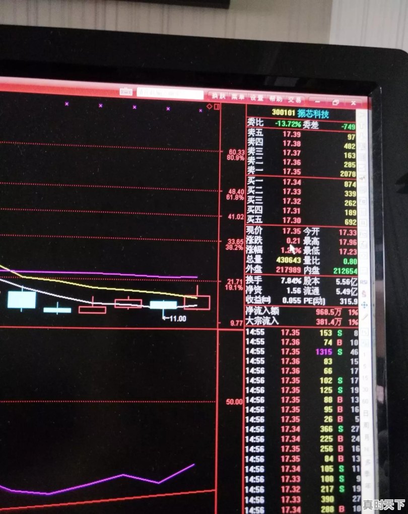 如何从2000多只股票中选出心仪的股票 - 真时天下