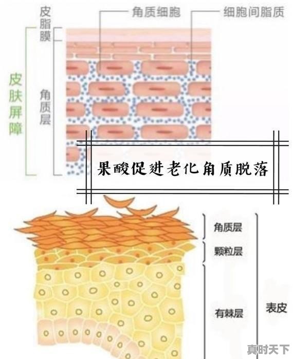 今日柠檬酸价格最新行情走势 - 真时天下