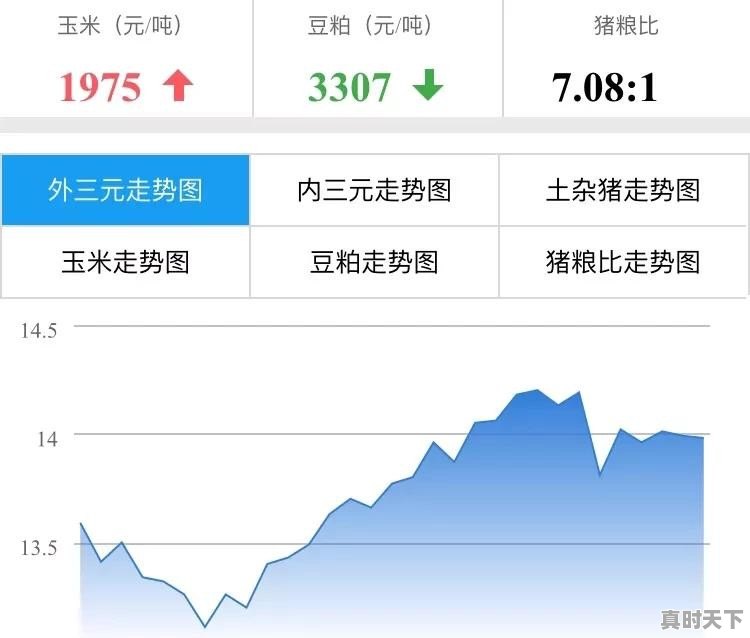 东北玉米价格又出现了回落，这样的下跌会持续多久？年前0.95元/斤能否实现 - 真时天下