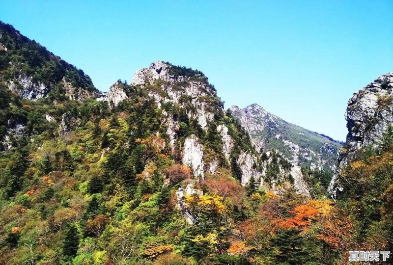 撤县设市的旬阳，从西安自驾去的路上的风景有多美 - 真时天下