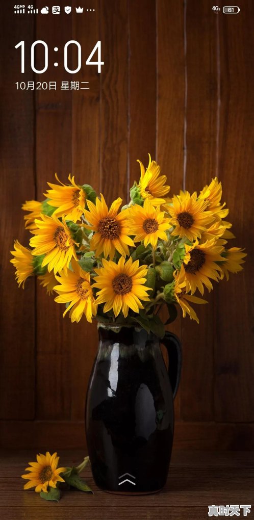 科技托起强国梦征文第一名含金量高吗 - 真时天下