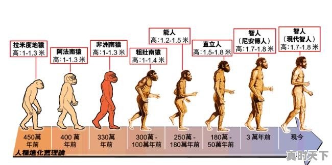 异世界勇者哪个职业可以解放双手 - 真时天下