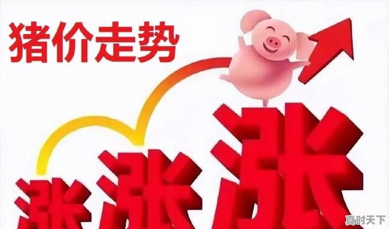 今日武威猪肉类价格行情走势 - 真时天下