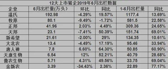 11月份今日生猪价格表 - 真时天下