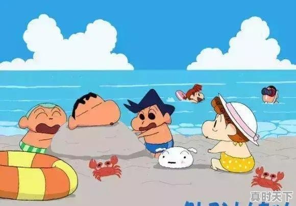 什么app可以看龙猫 - 真时天下