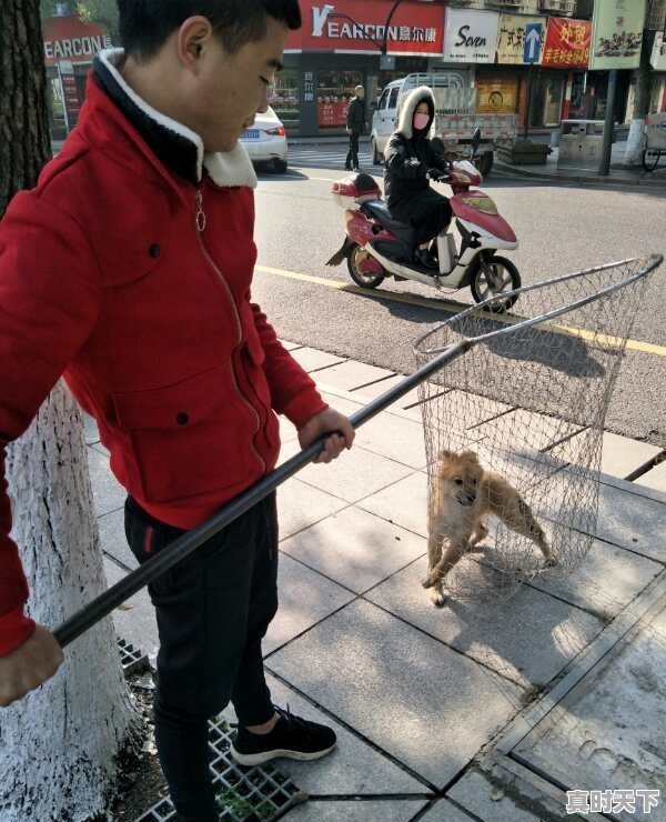 有谁能解释为什么今年有些地方水果蔬菜价格普遍上涨 - 真时天下