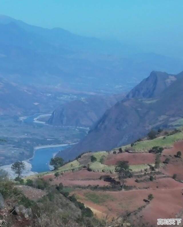 种植什么农作物比较好？在内蒙赤峰种植青贮玉米怎么样，密植高杆吗 - 真时天下