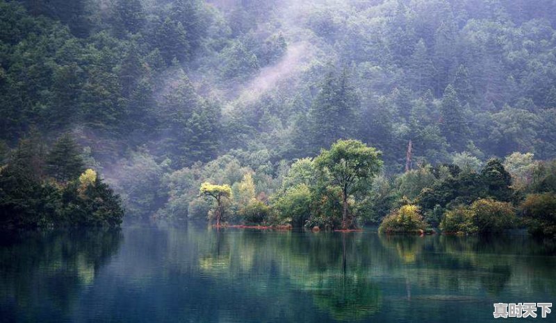 你去过哪个国家？印象怎么样 - 真时天下