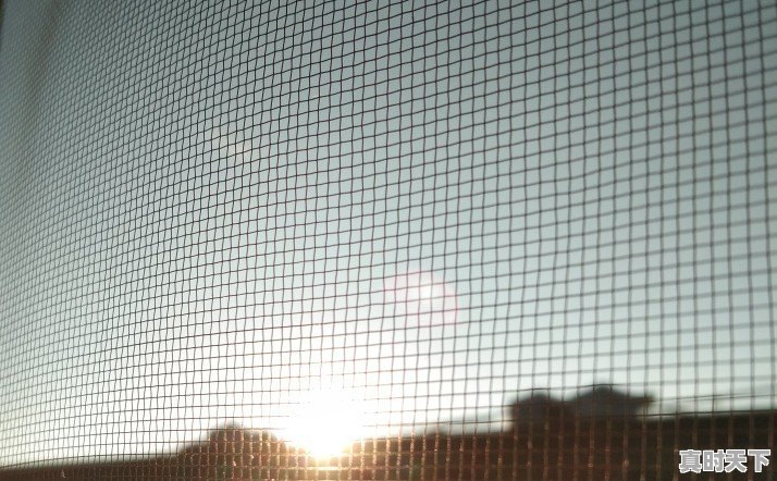 这么多节目扎堆，文化类综艺的春天是不是已经到了 - 真时天下