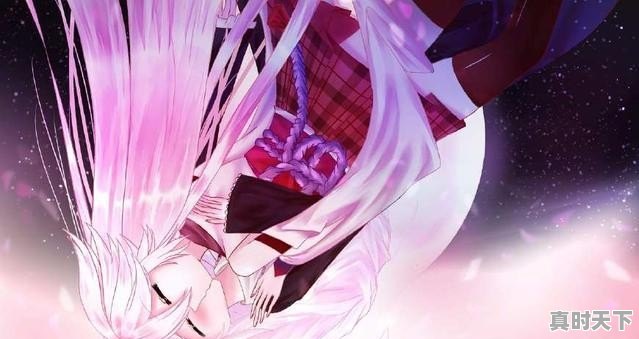 崩坏是单机游戏么 - 真时天下