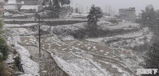 武汉突降暴雪是怎么回事，这种天气正常吗 - 真时天下