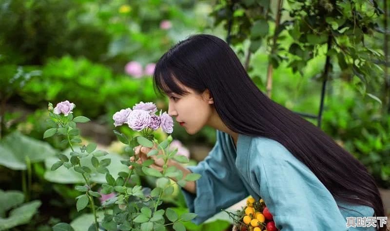 超能英雄怎么登录不上去 - 真时天下