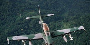 电台巨嘴鸟 - 真时天下