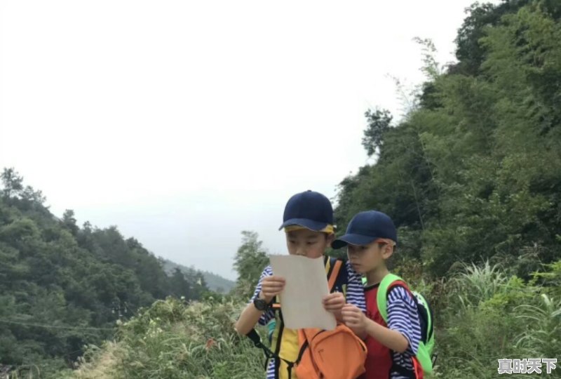 好多父母不惜重金，甚至借钱都要送孩子去游学，真的有用吗 - 真时天下