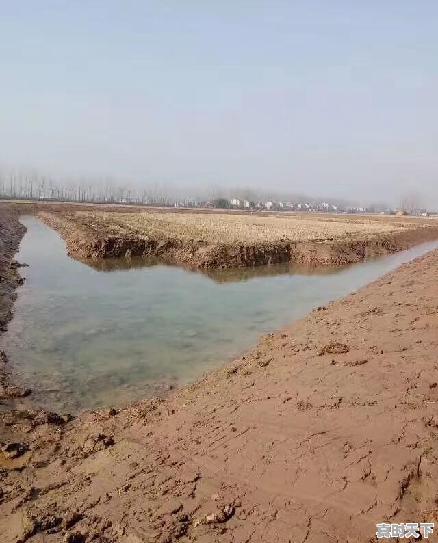 今年龙虾价格暴跌，大量养殖户弃养，此时养殖龙虾，是否可行 - 真时天下