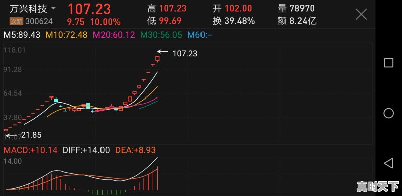 恒立实业再度涨停，13个交易日12个涨停，你怎么看 - 真时天下