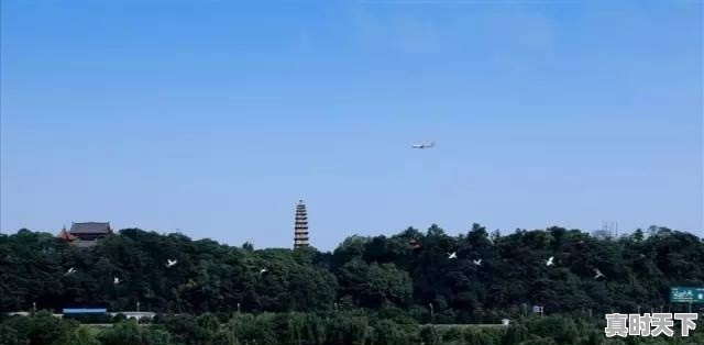 南充进面分数线 - 真时天下