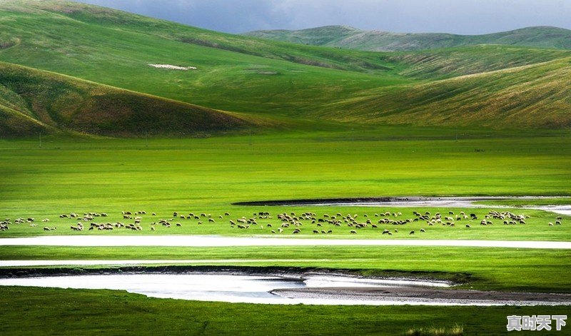 你喜欢去呼伦贝尔大草原旅游吗？为什么 - 真时天下