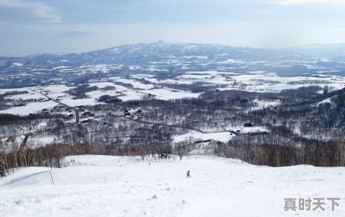 元旦期间想去北海道滑雪，有哪些滑雪场和酒店可以推荐呢 - 真时天下