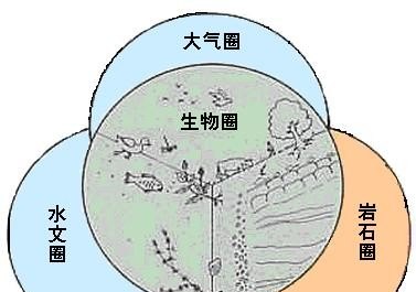 生命科学与社会可持续发展有什么关系 - 真时天下