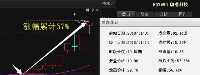 翔港科技年报 - 真时天下