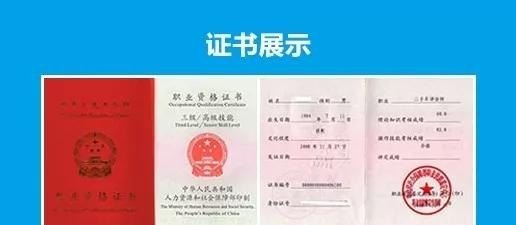 二手车碰撞分析与估损报告怎么写 - 真时天下