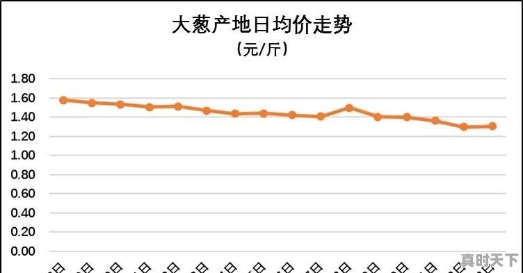 北方大葱迎来秋葱收货旺季，2018年的大葱行情如何呢 - 真时天下