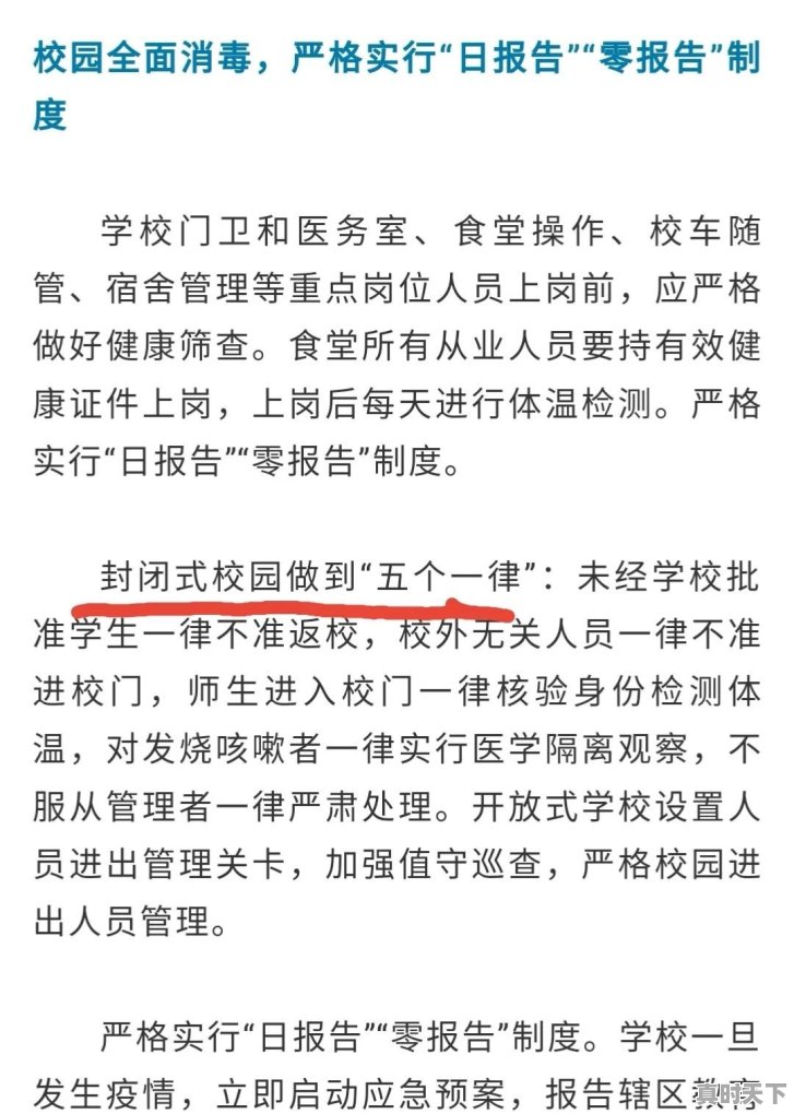 周六周日综艺节目2020 - 真时天下